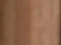 Set of 2 Walnut Drawer Storage Dresser - Free Shipping (K8009-WALNUT)